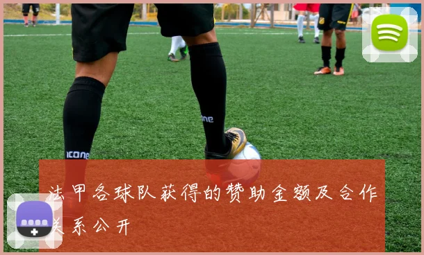 法甲各球队获得的赞助金额及合作关系公开