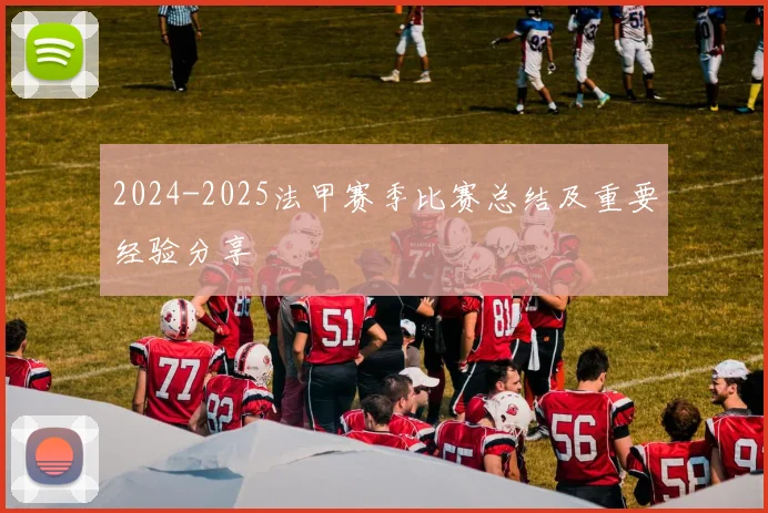 2024-2025法甲赛季比赛总结及重要经验分享