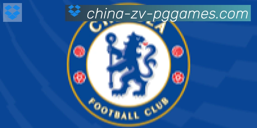 PG模拟器官方网站合作伙伴